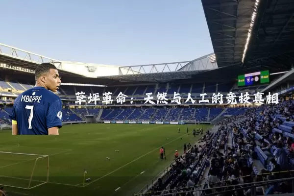 草坪革命：天然与人工的竞技真相