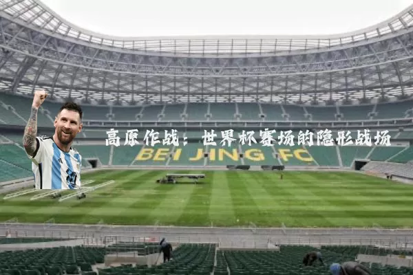 高原作战：世界杯赛场的隐形战场